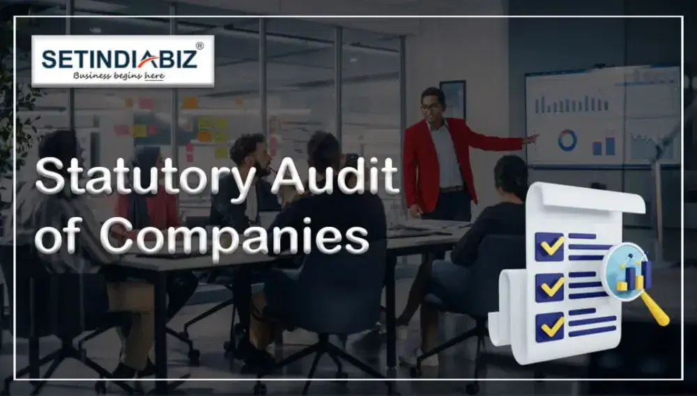 Statutory Audit Under Companies Act 2013