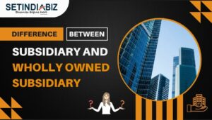Difference Between Subsidiary and Wholly Owned Subsidiary