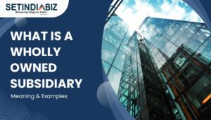 What is a Wholly owned subsidiary - Meaning & Examples